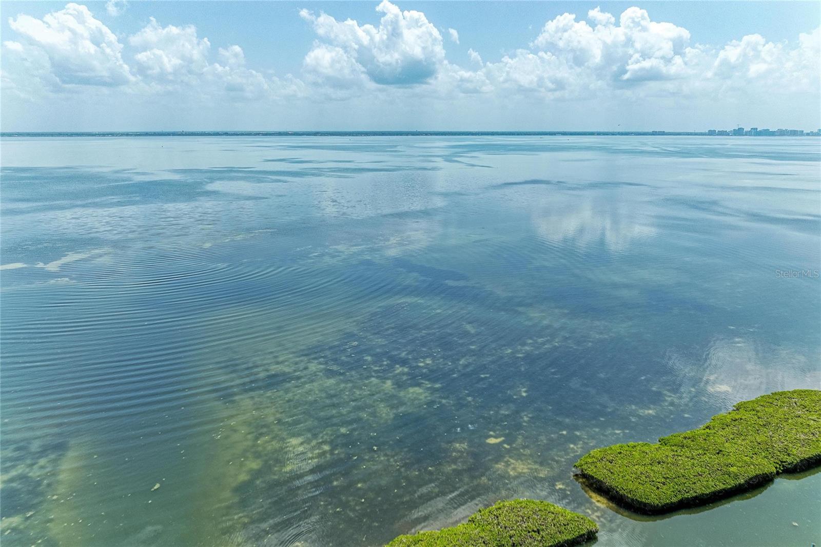 2350 Harbour Oaks Dr, Longboat Key, FL 34228 — photo 56 of 85