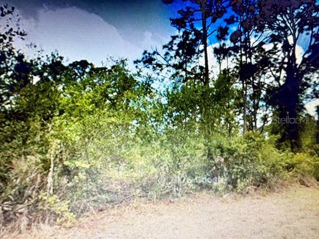 13153 Selzer Ave, Port Charlotte, FL 33953 — photo 1 of 1