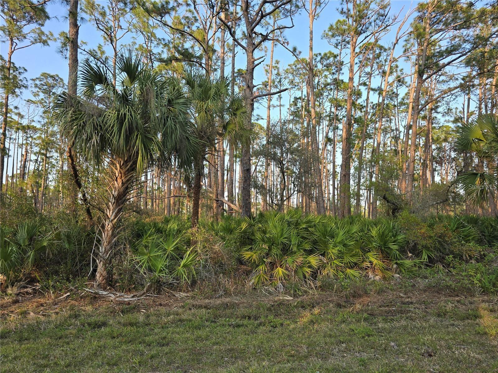 12522 Ranch Ave, Port Charlotte, FL 33953 — photo 1 of 1