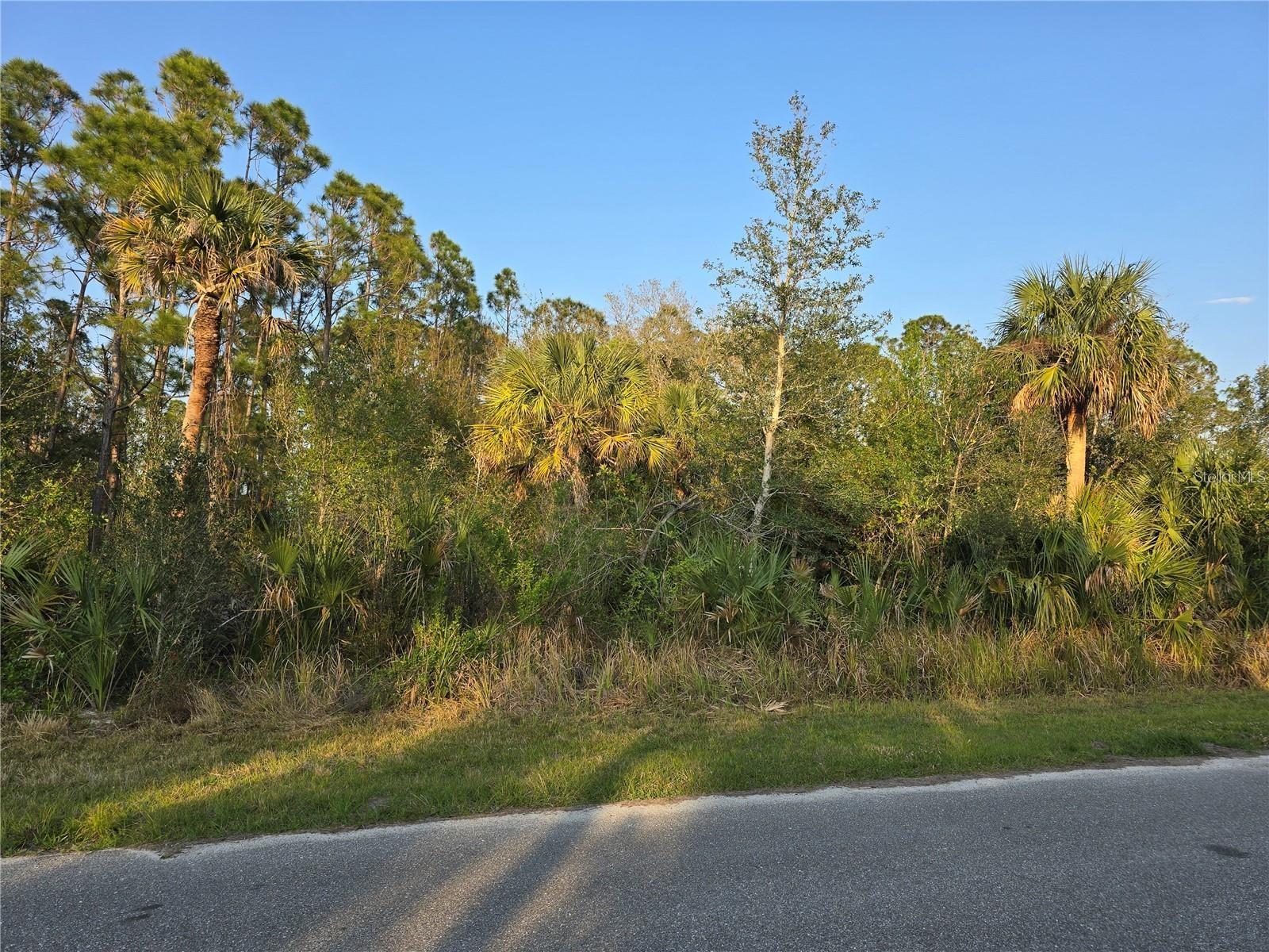 356 Ramblewood St, Port Charlotte, FL 33953 — photo 1 of 1