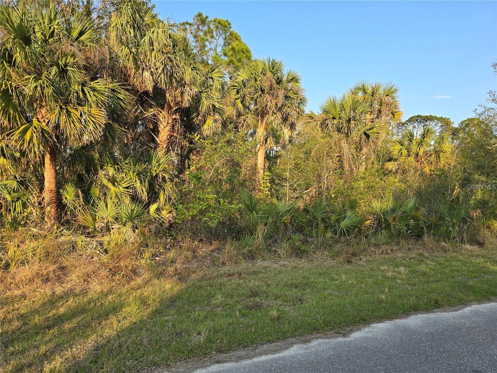 348 Ramblewood St, Port Charlotte, FL 33953 — photo 1 of 1
