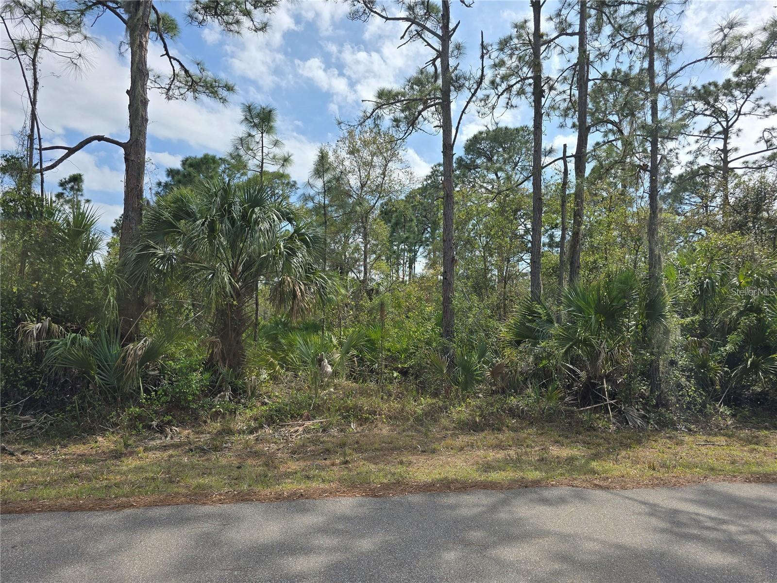 14055 Rider Ave, Port Charlotte, FL 33953 — photo 1 of 1