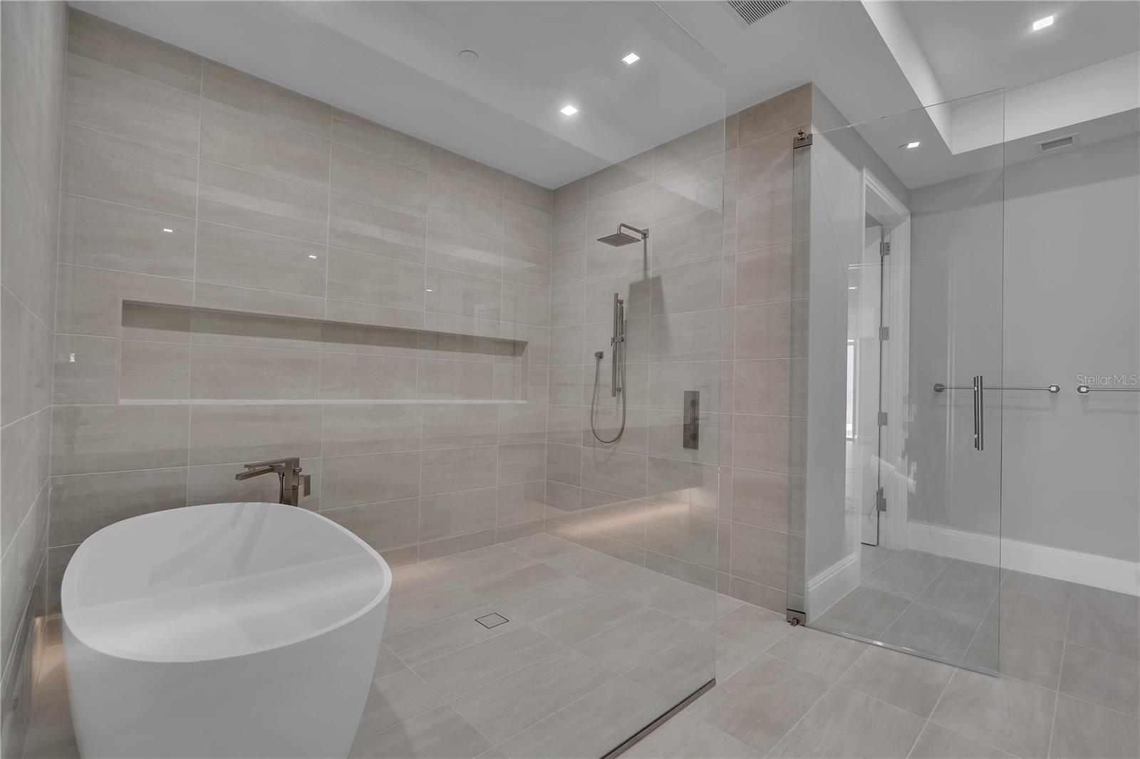 Primary Shower & Tub