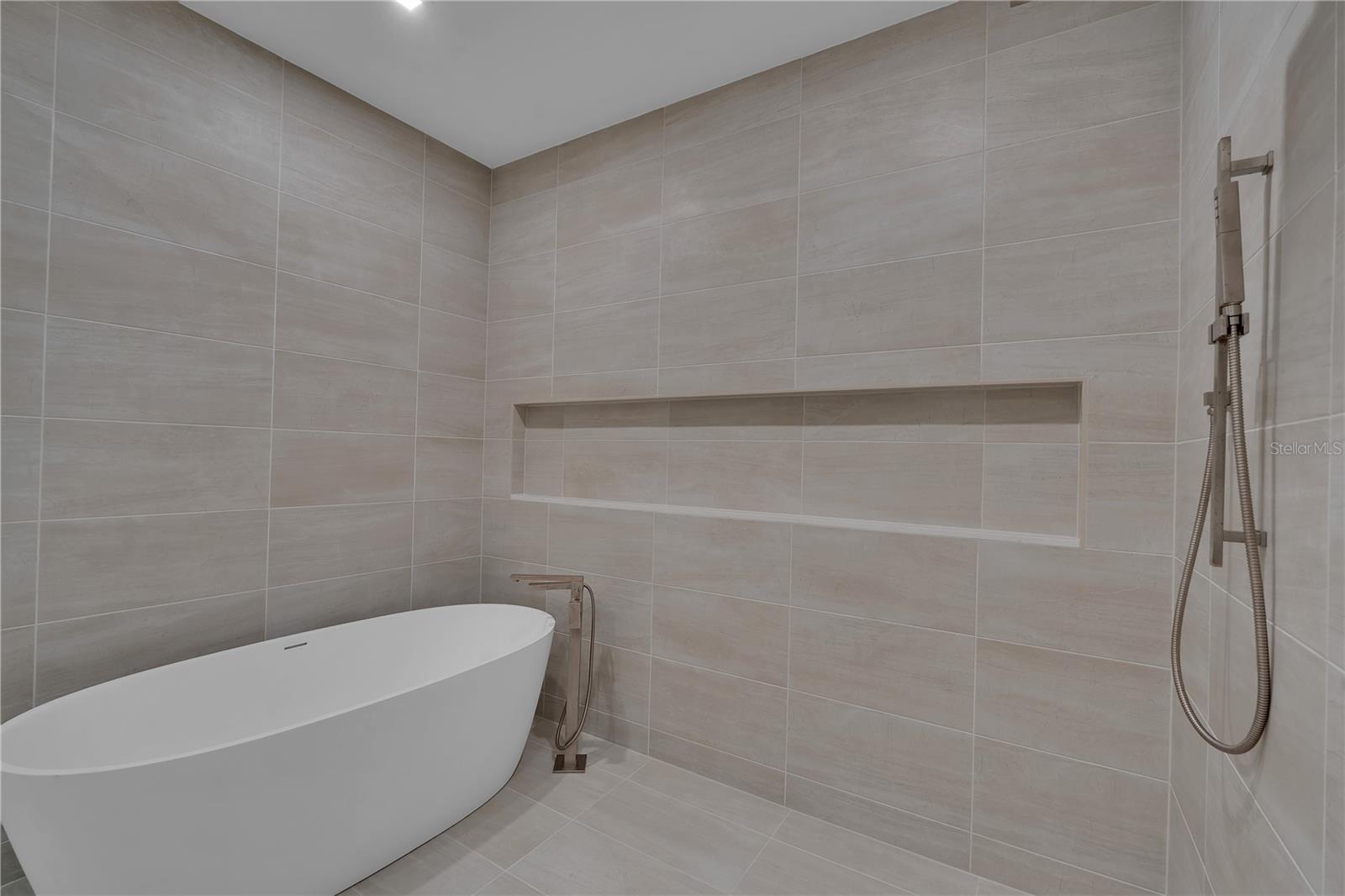 Primary Shower & Tub