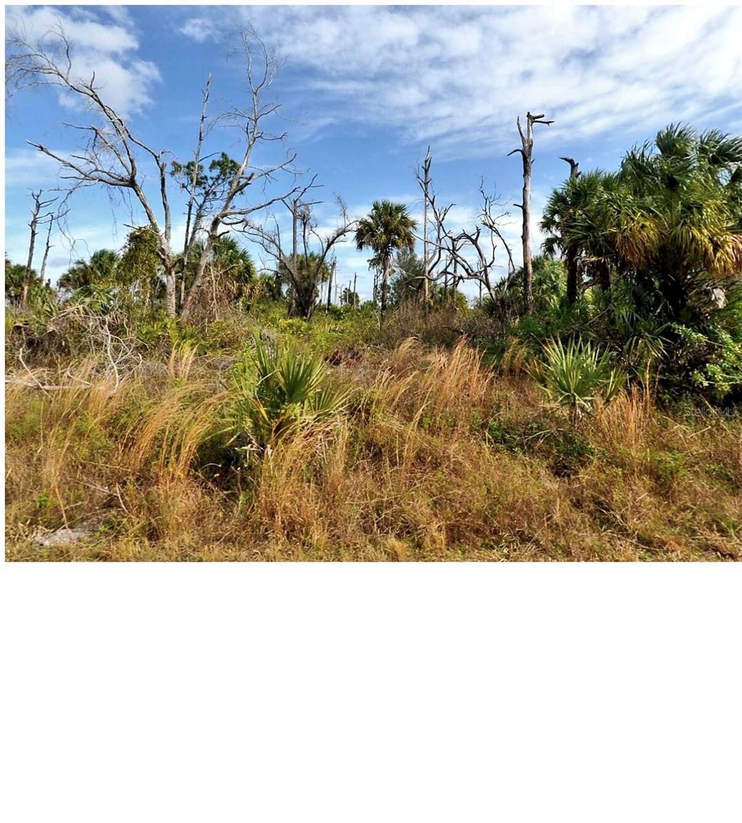 0 Menzler St, North Port, FL 34288 · MLS# O6425018 — photo 1 of 1