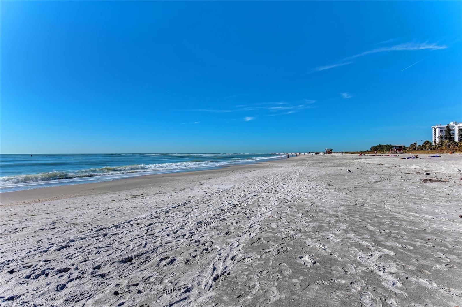 3980 Lemonwood Dr, Sarasota, FL 34232 — photo 45 of 100