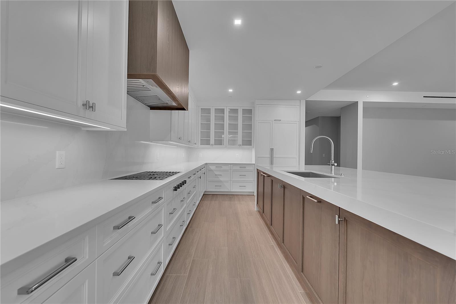 Luxury Kitchen
