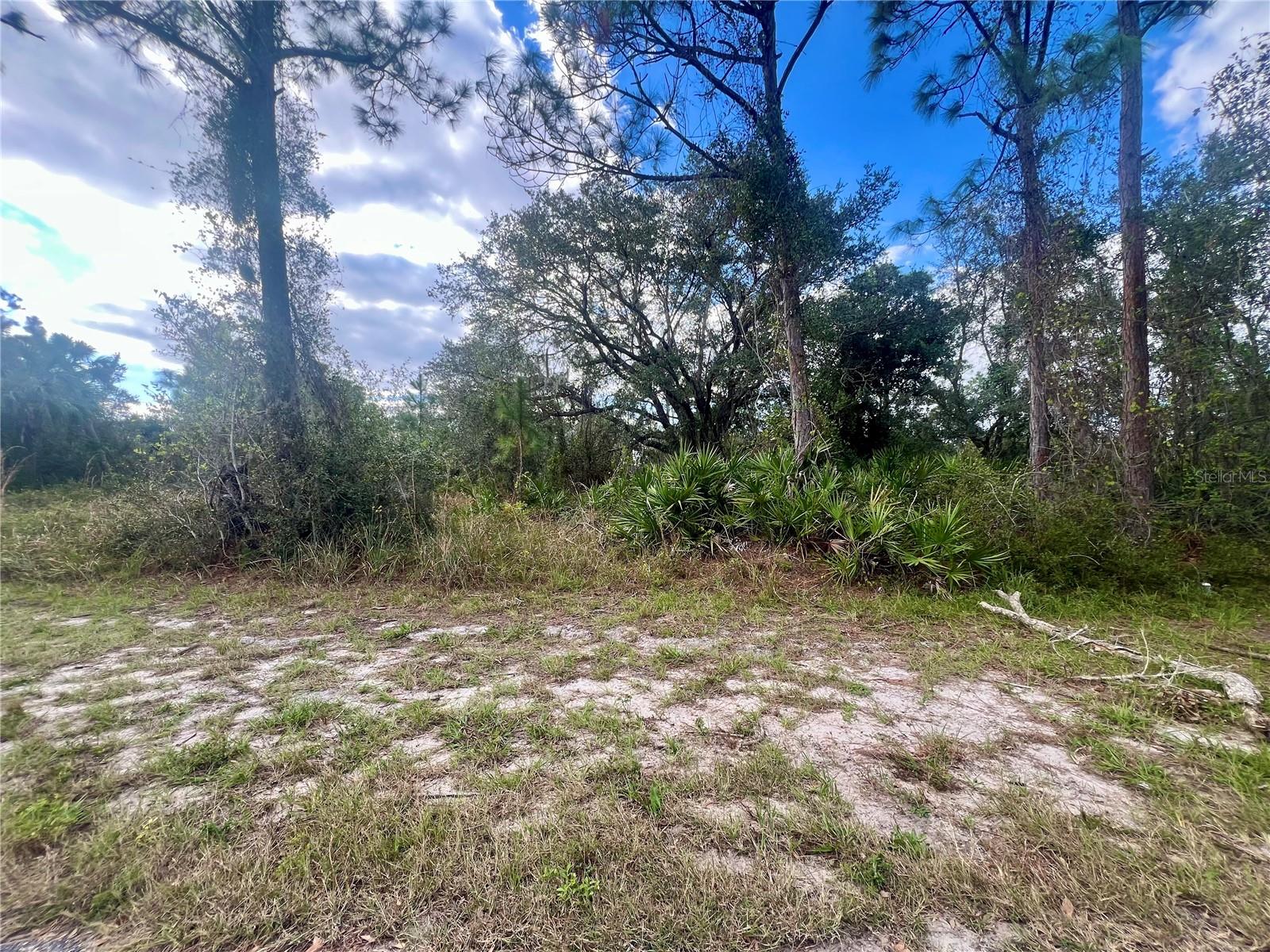 95 Harvey St, Port Charlotte, FL 33954 — photo 1 of 1