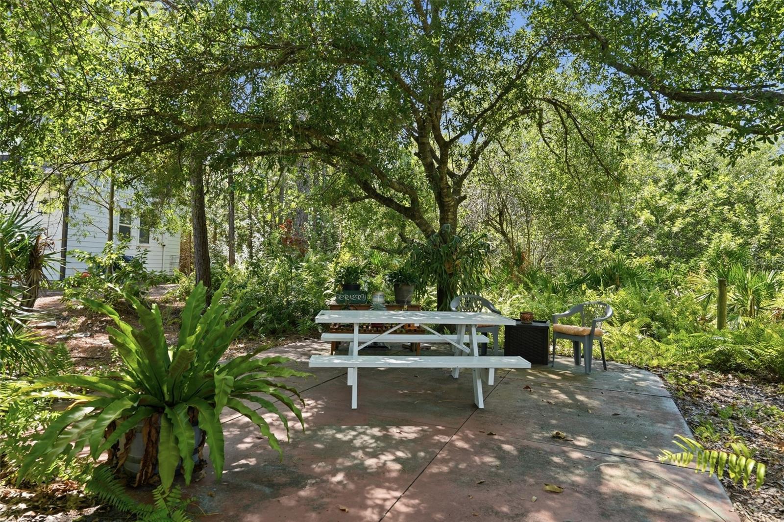 6000 Cleveland Dr, Punta Gorda, FL 33982 — photo 49 of 62