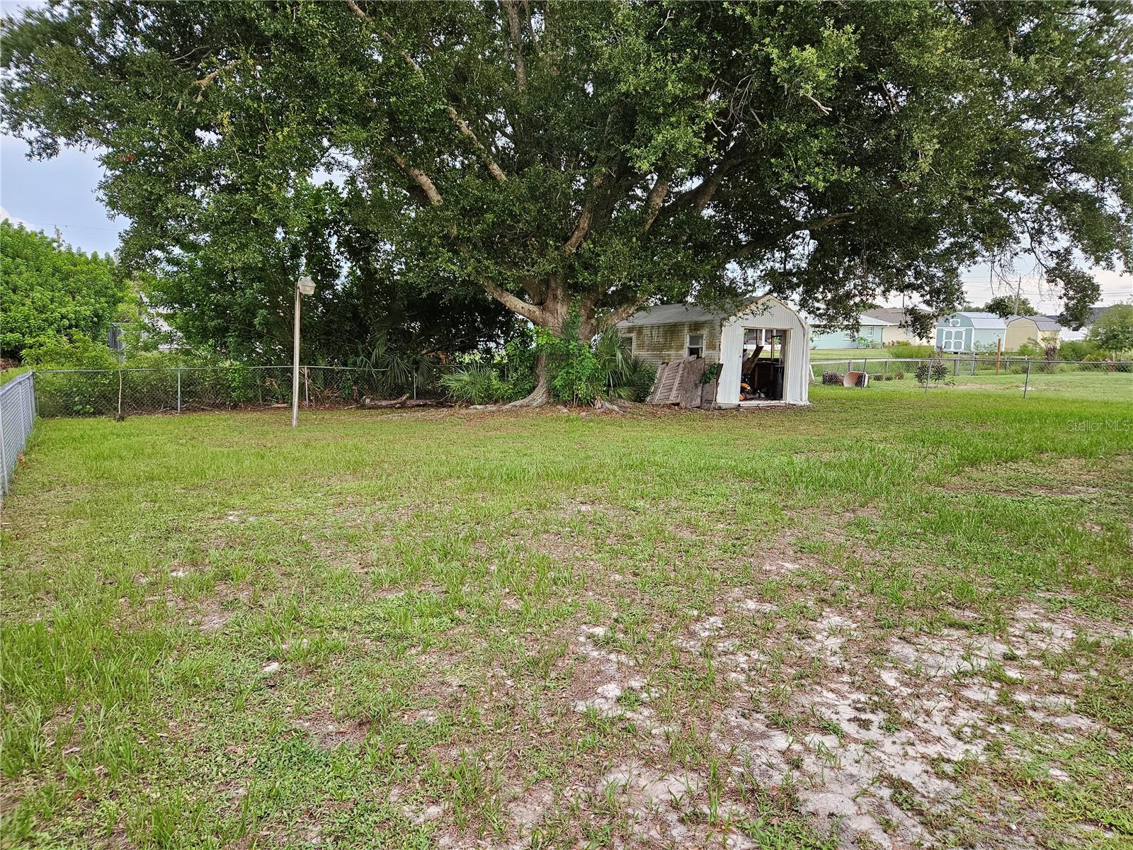 Large Backyard