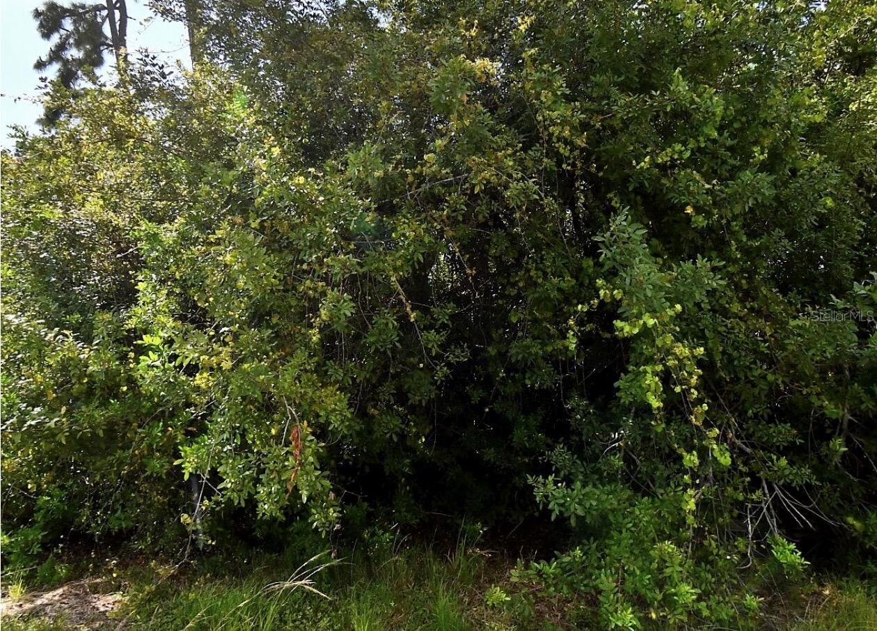Map Ave, North Port, FL 34286 · MLS# O6426367 — photo 1 of 1
