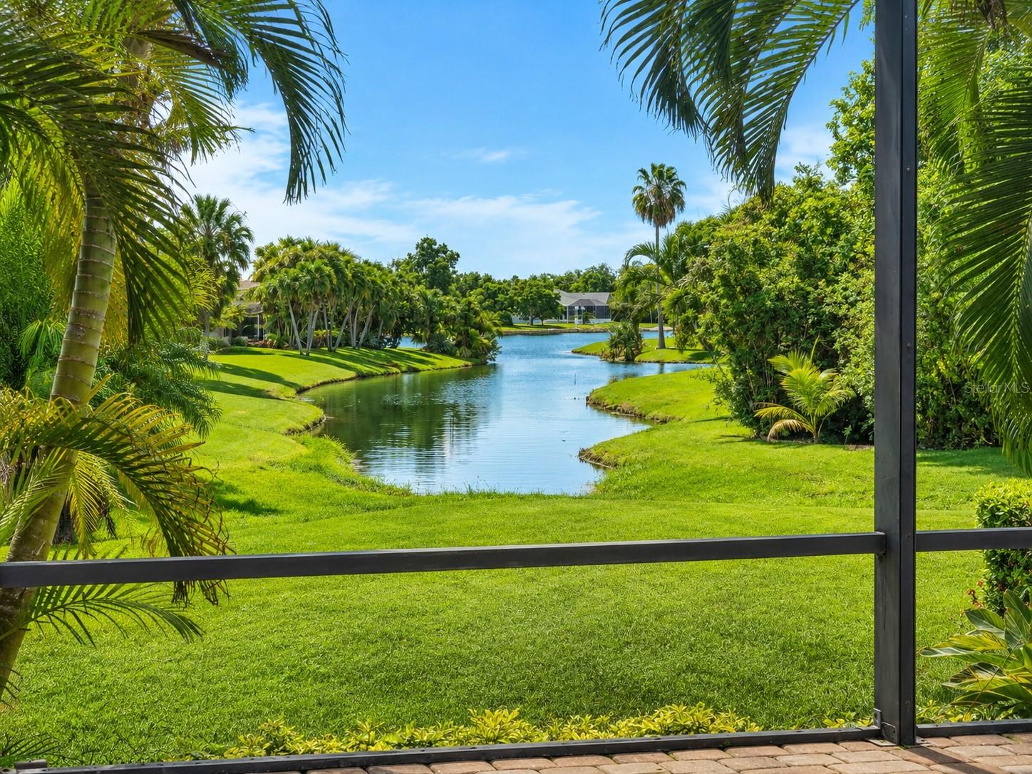 Peaceful tropical water views framed by lush palms and beautifully maintained landscaping