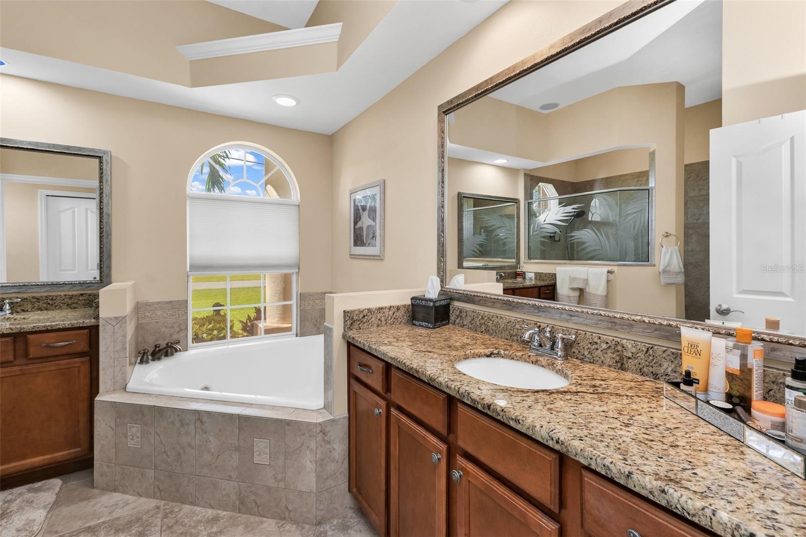Master Bath Jacuzzi Tub