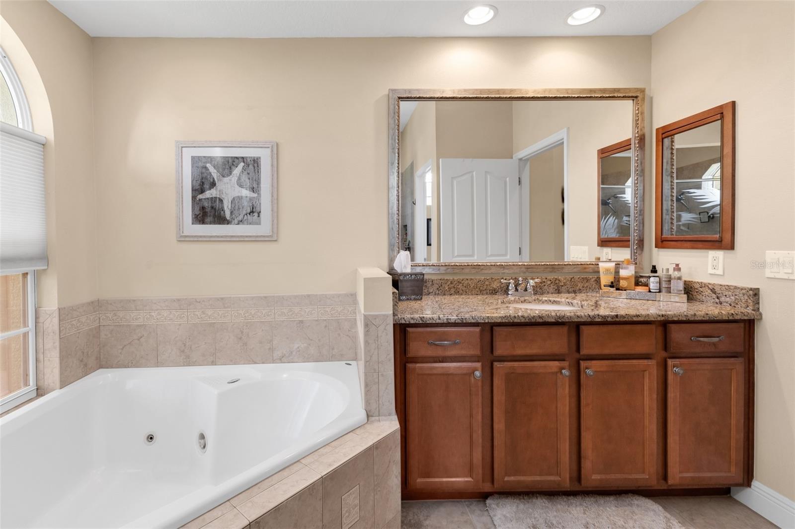Master Bath/Jetted Tub