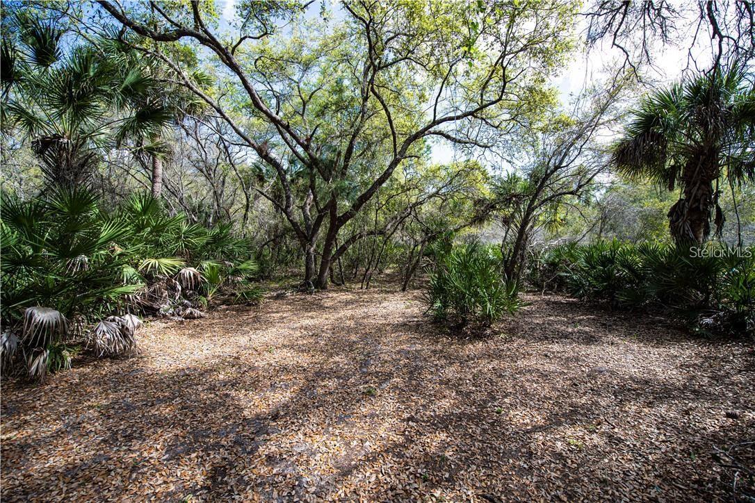 392 Manly St, Port Charlotte, FL 33953 — photo 1 of 1