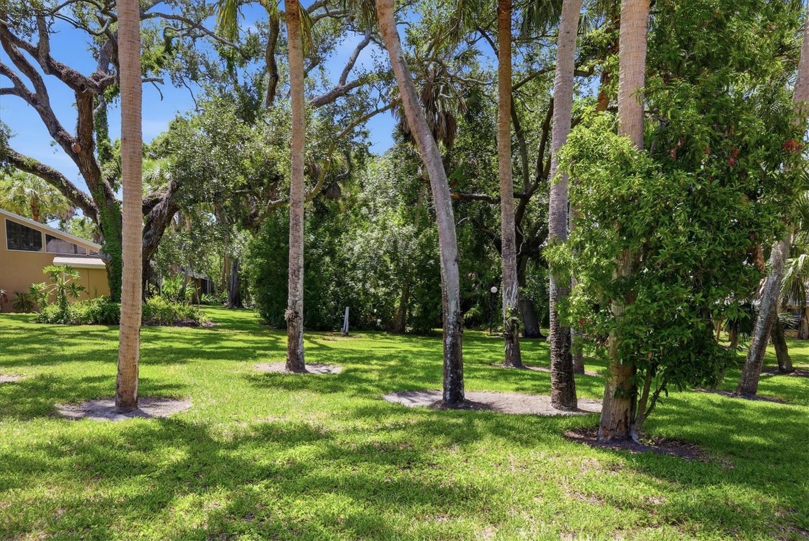 5063 Village Gardens Dr #9, Sarasota, FL 34234 — photo 24 of 40