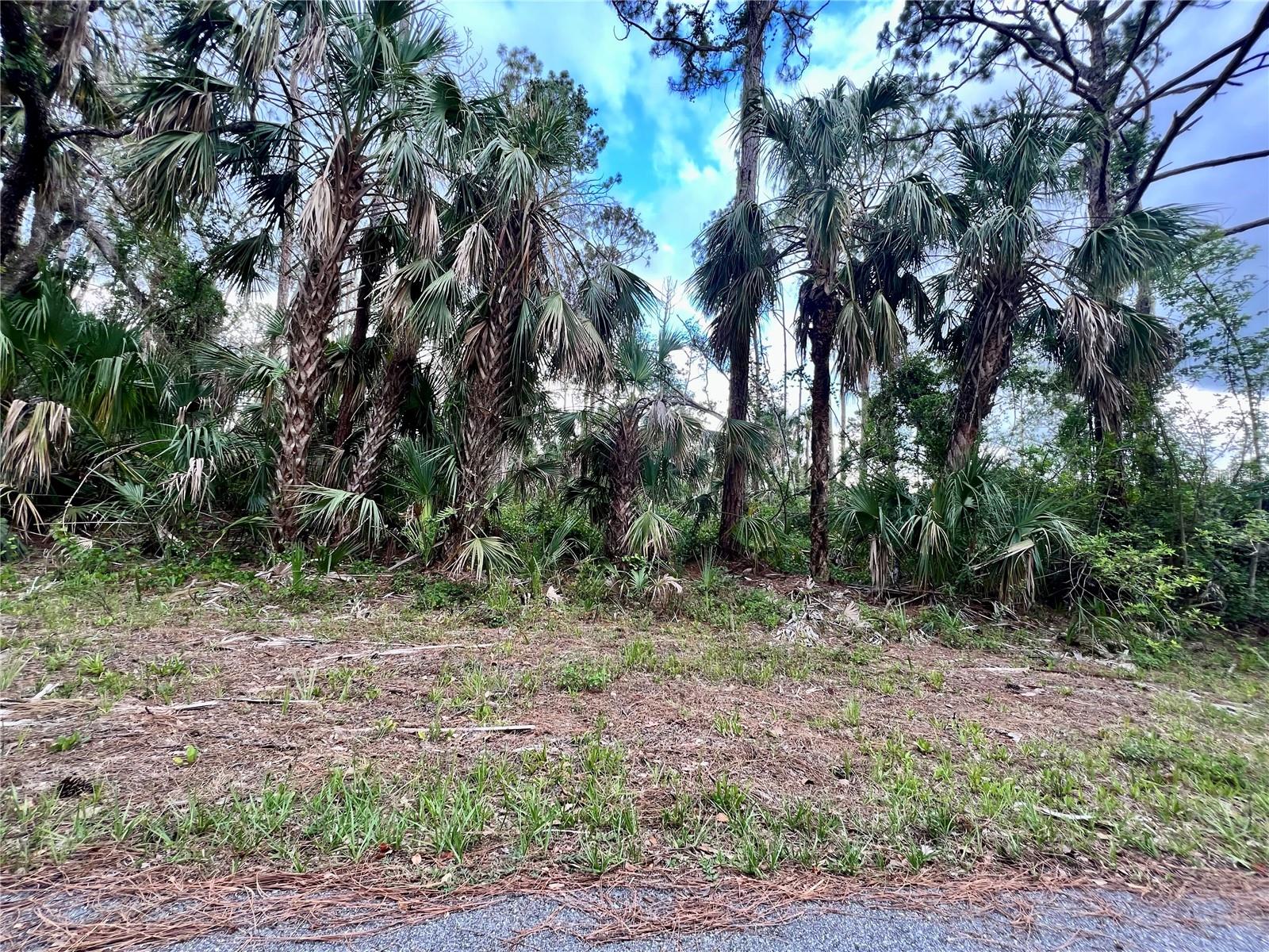 13475 Ketridge Ave, Port Charlotte, FL 33953 — photo 1 of 1