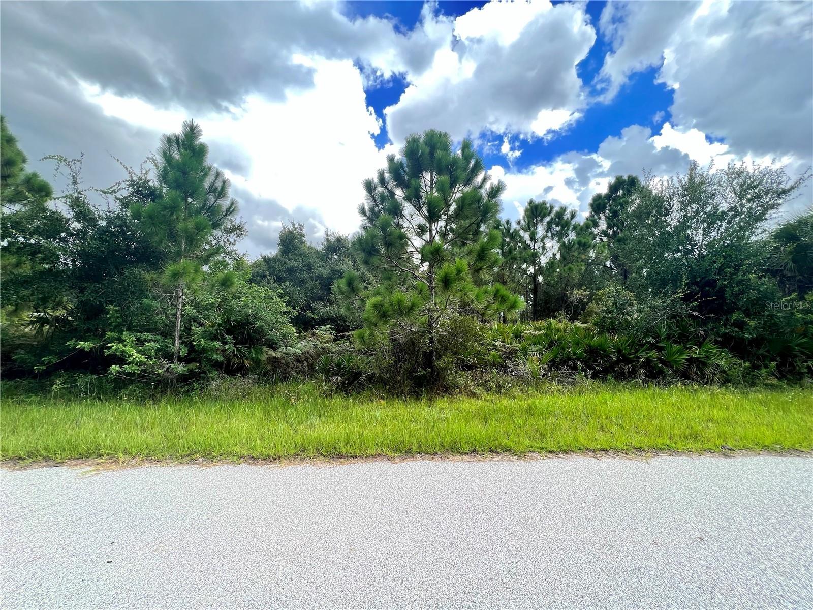 12467 Divan Ave, Port Charlotte, FL 33981 — photo 1 of 1