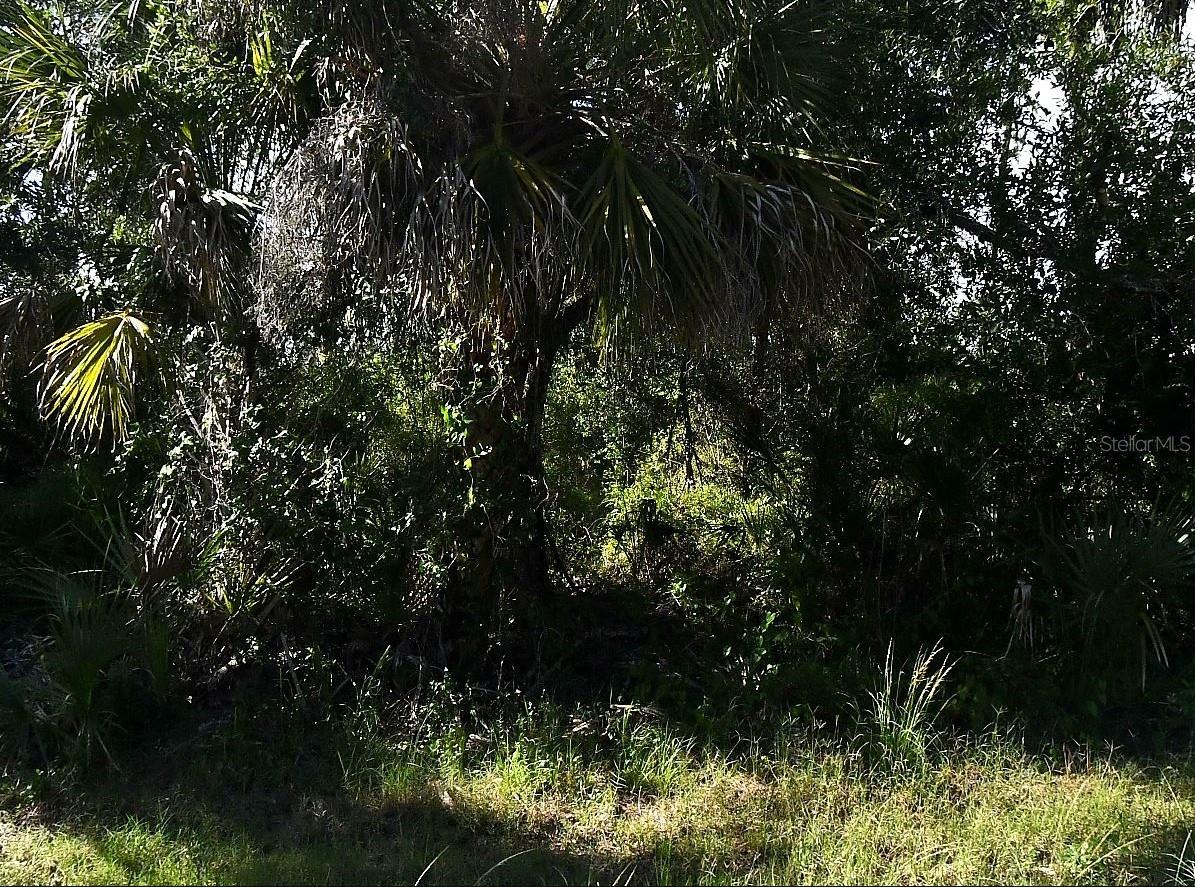 Desco Rd, North Port, FL 34286 · MLS# N6145111 — photo 1 of 1