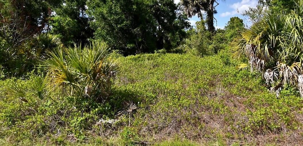 Roth St, North Port, FL 34288 · MLS# A4700753 — photo 1 of 1