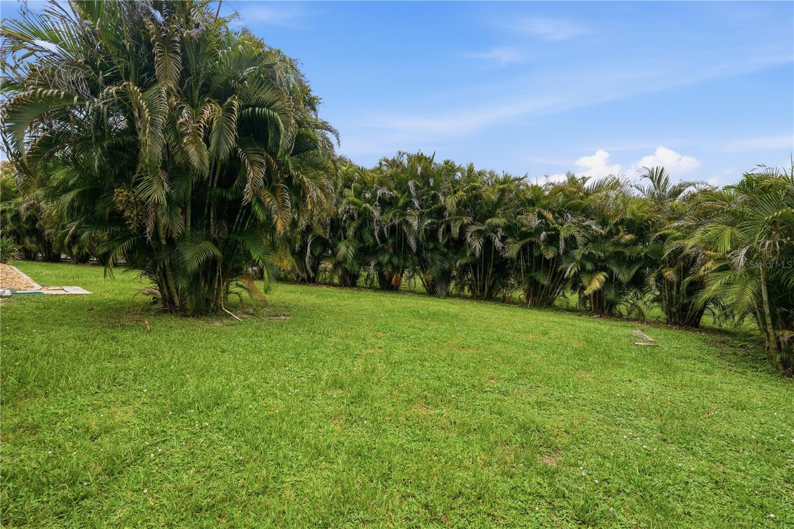 25378 Rupert Rd, Punta Gorda, FL 33983 — photo 45 of 50