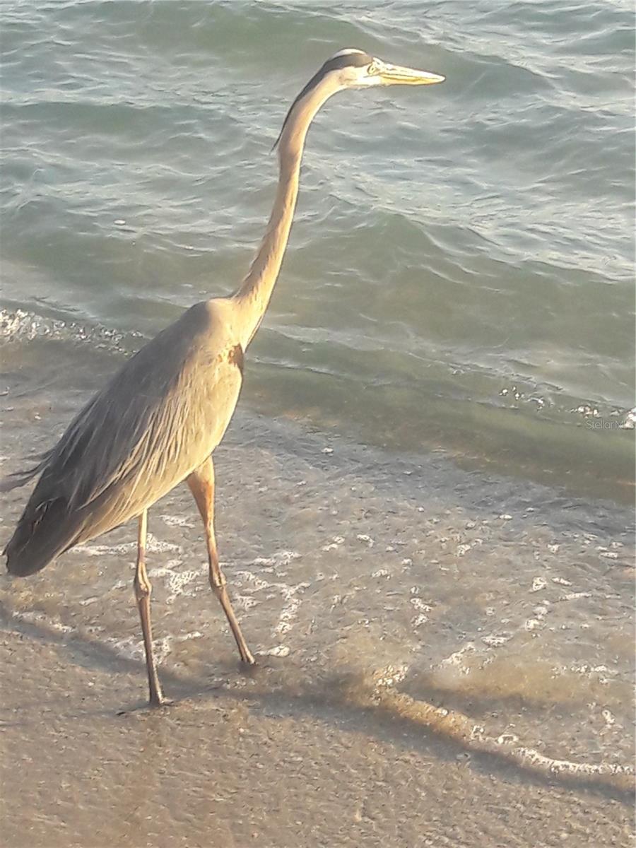 COME IN - THE WATER'S FINE