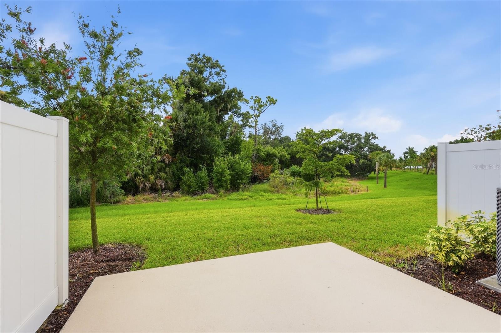 Private View from rear Patio