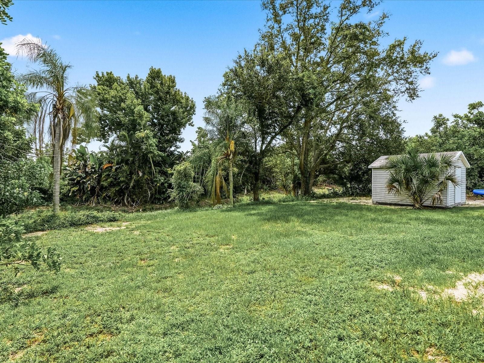 Backyard of Spinnaker Blvd
