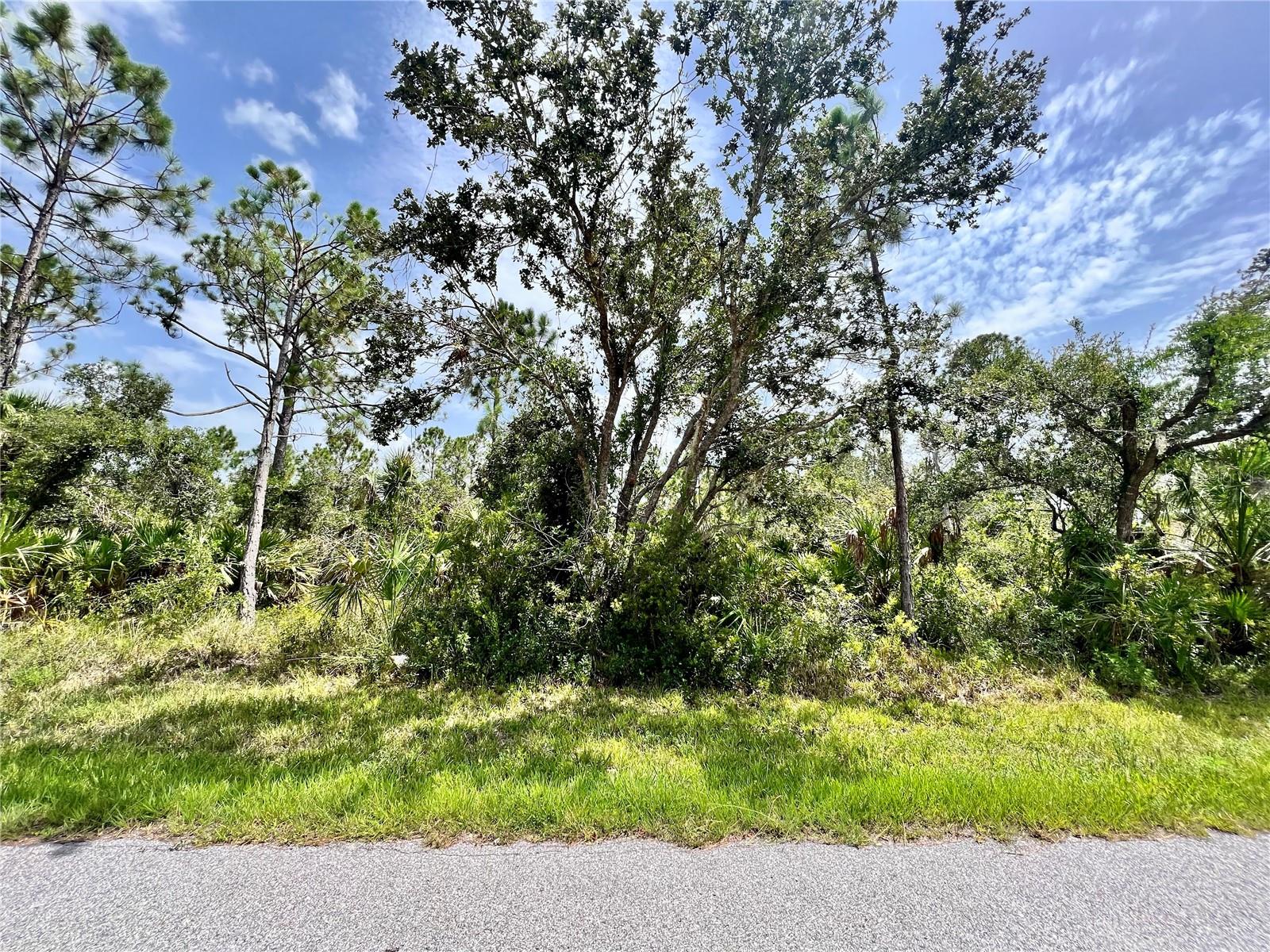 13377 Johannes Ave