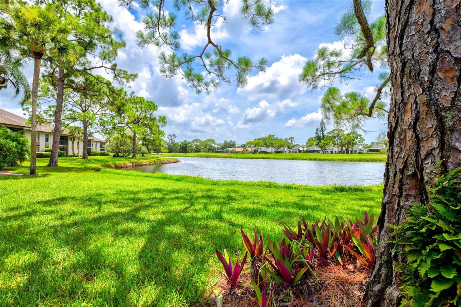 3053 Taywood Mdws #3, Sarasota, FL 34235 — photo 33 of 74