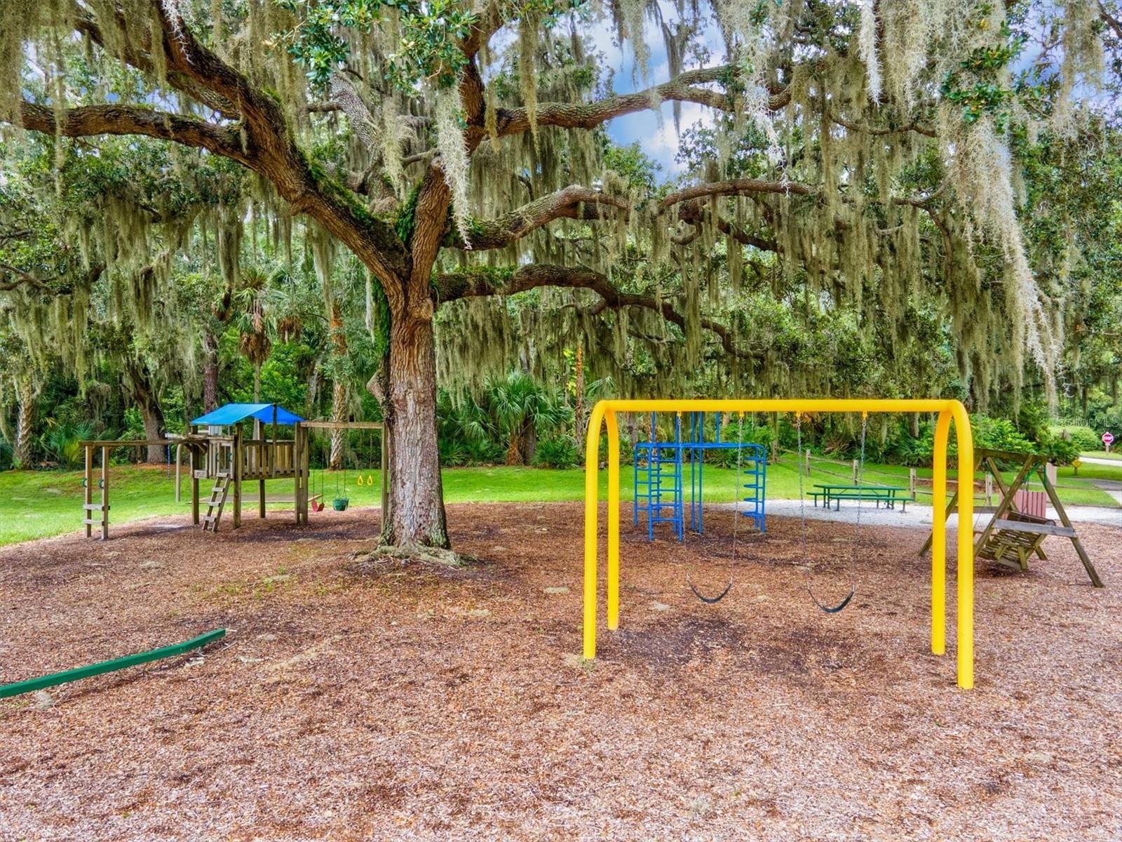 3053 Taywood Mdws #3, Sarasota, FL 34235 — photo 68 of 74