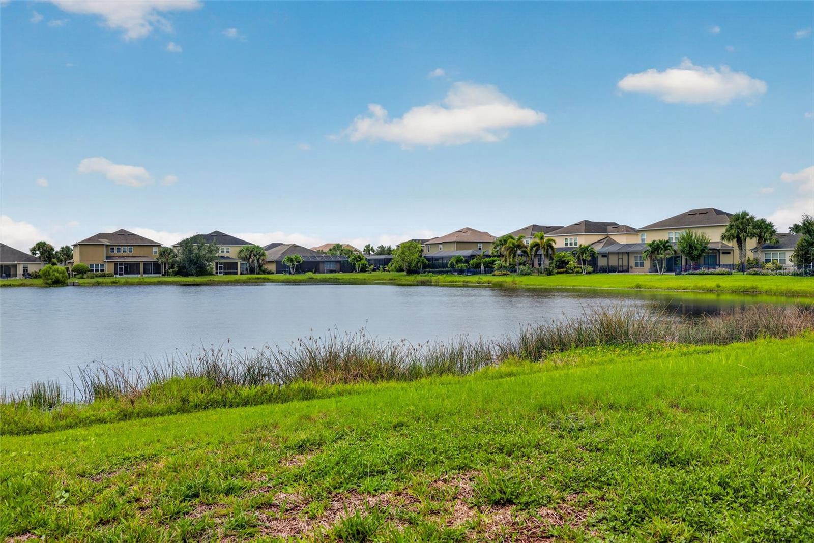 5934 Anise Dr, Sarasota, FL 34238 — photo 45 of 46