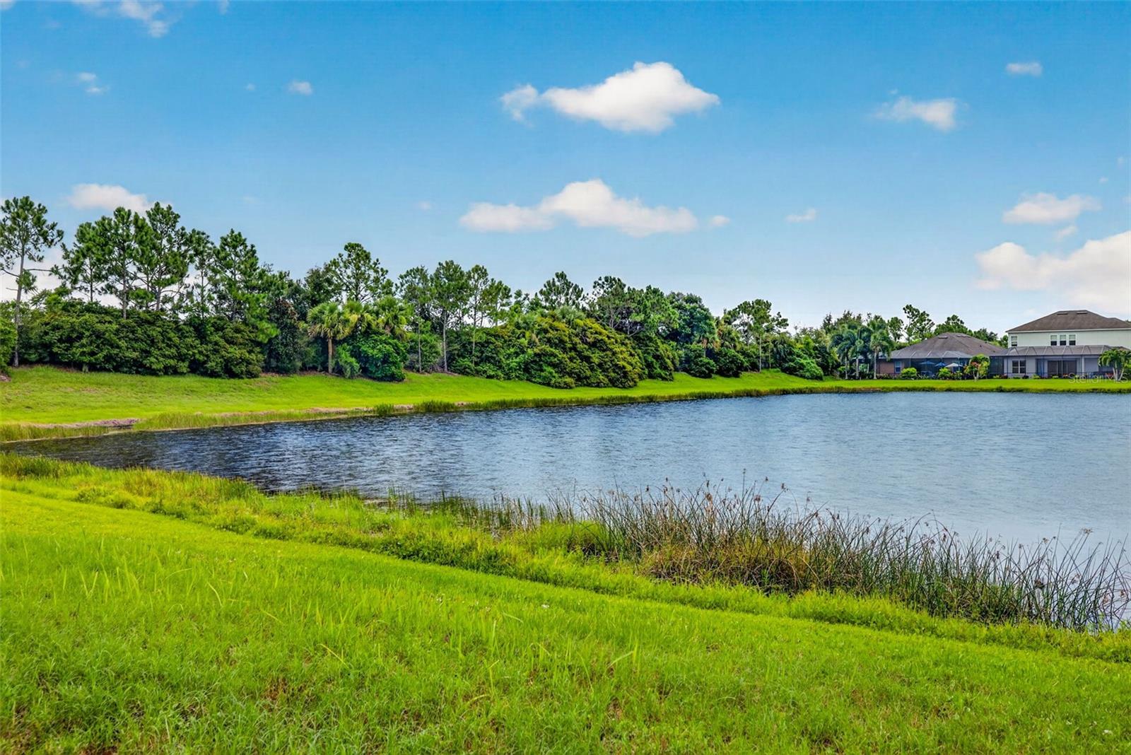 5934 Anise Dr, Sarasota, FL 34238 — photo 46 of 46