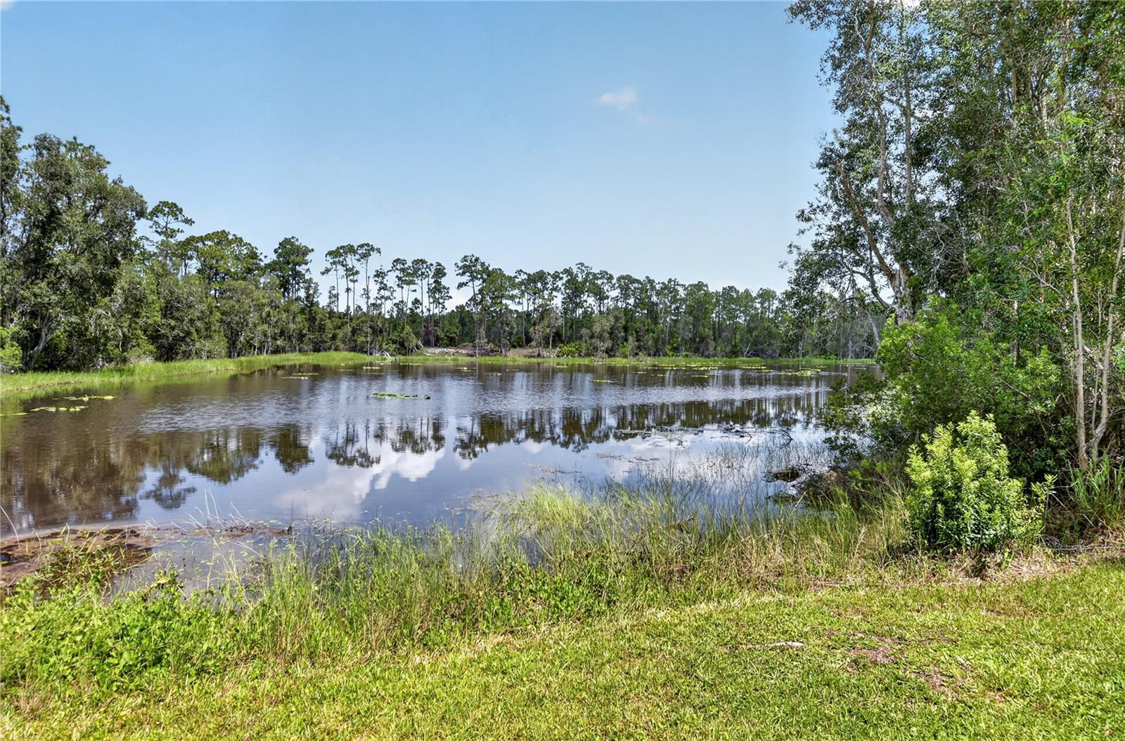 12141 Buenos Ct, Punta Gorda, FL 33955 — photo 46 of 74