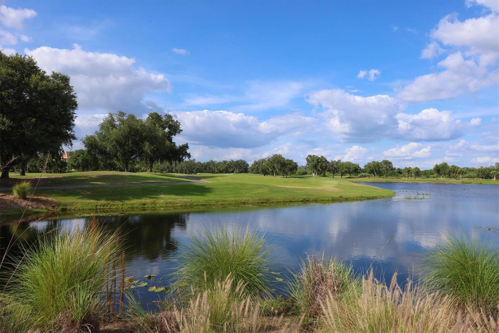 3360 Founders Club Dr, Sarasota, FL 34240 — photo 82 of 86