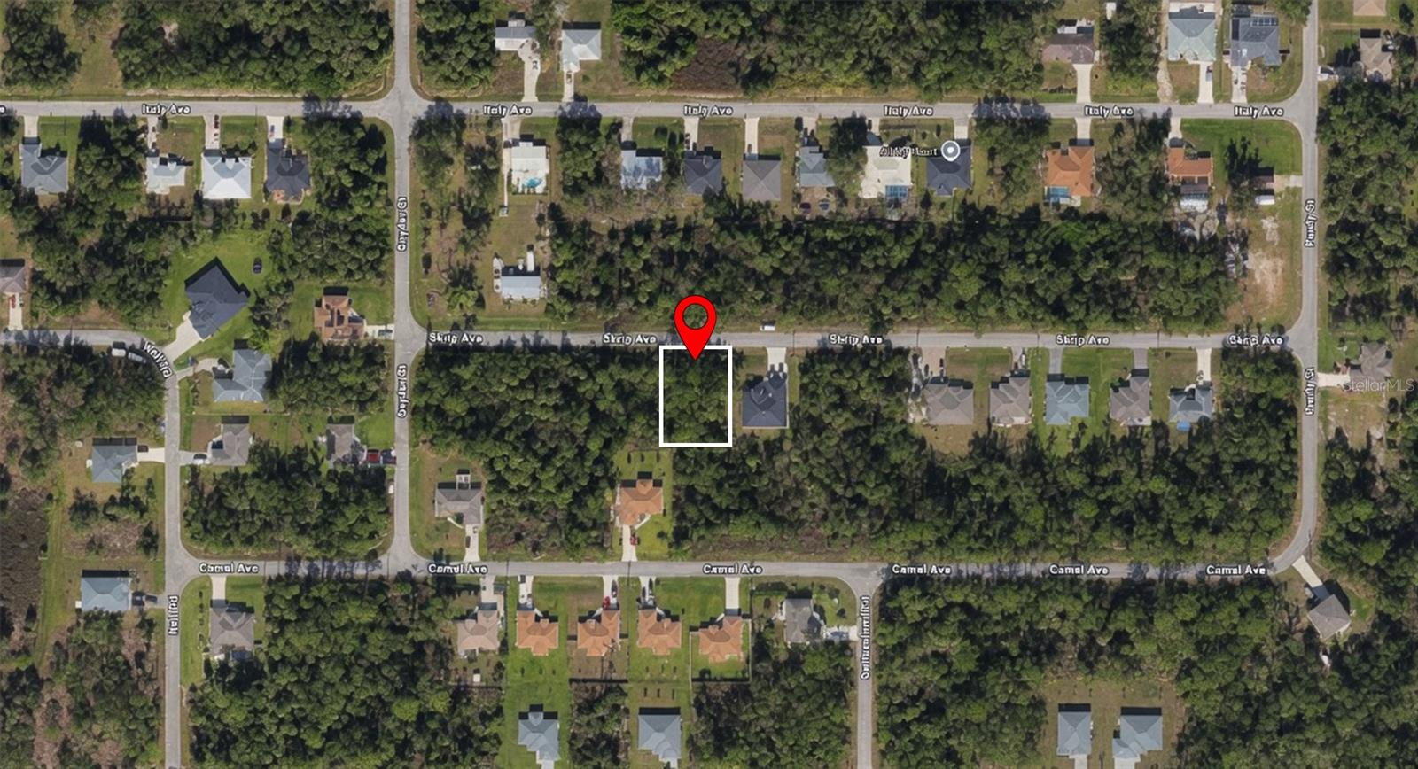 Skrip Ave, North Port, FL 34288 · MLS# O6429462 — photo 1 of 1