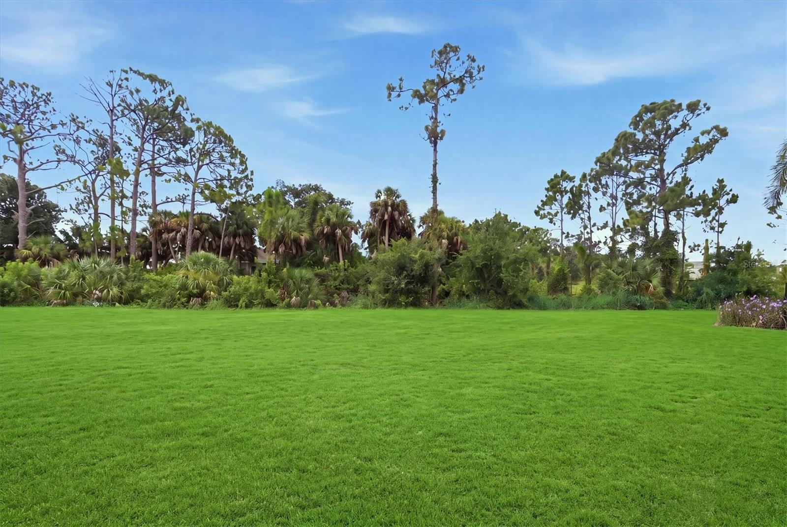 11595 Renaissance Blvd, Venice, FL 34293 — photo 31 of 52