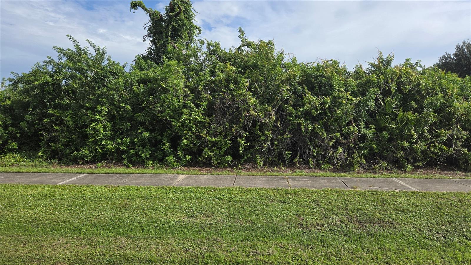 12436 Willmington Blvd, Port Charlotte, FL 33981 — photo 1 of 1