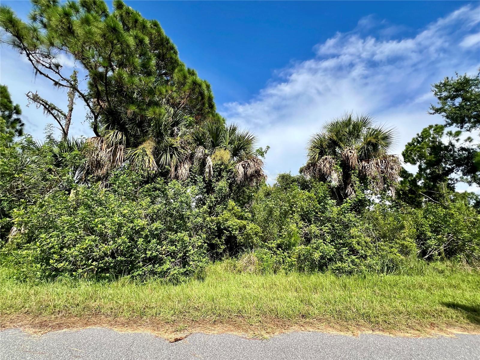 2168 Belvoir St, Port Charlotte, FL 33953 — photo 1 of 1