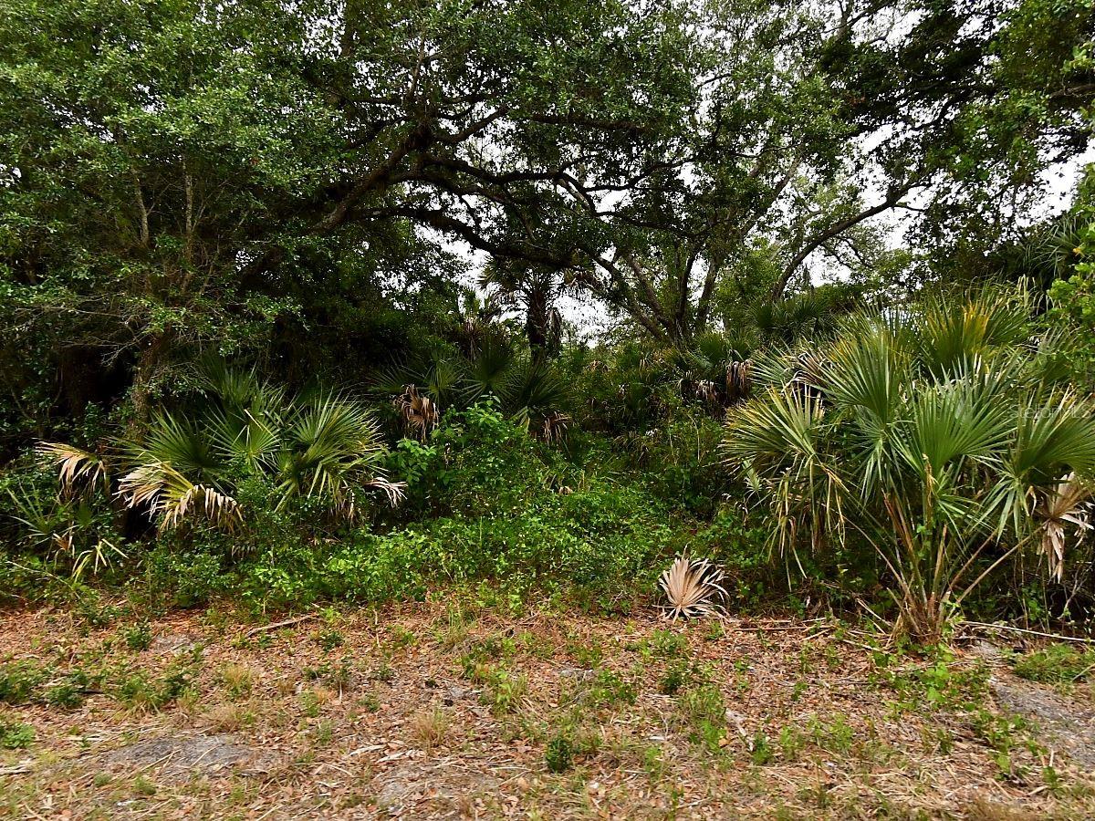 Lot 18 Dunsmuir Rd, North Port, FL 34288 · MLS# C7529091 — photo 1 of 1