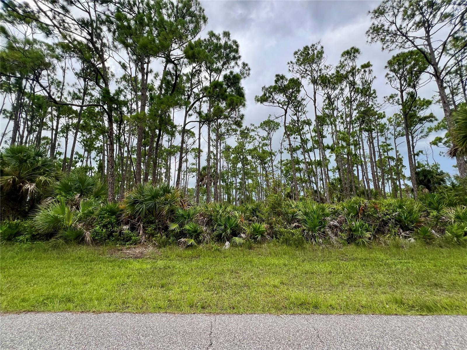 13232 Finkle Ave, Port Charlotte, FL 33981 — photo 1 of 1