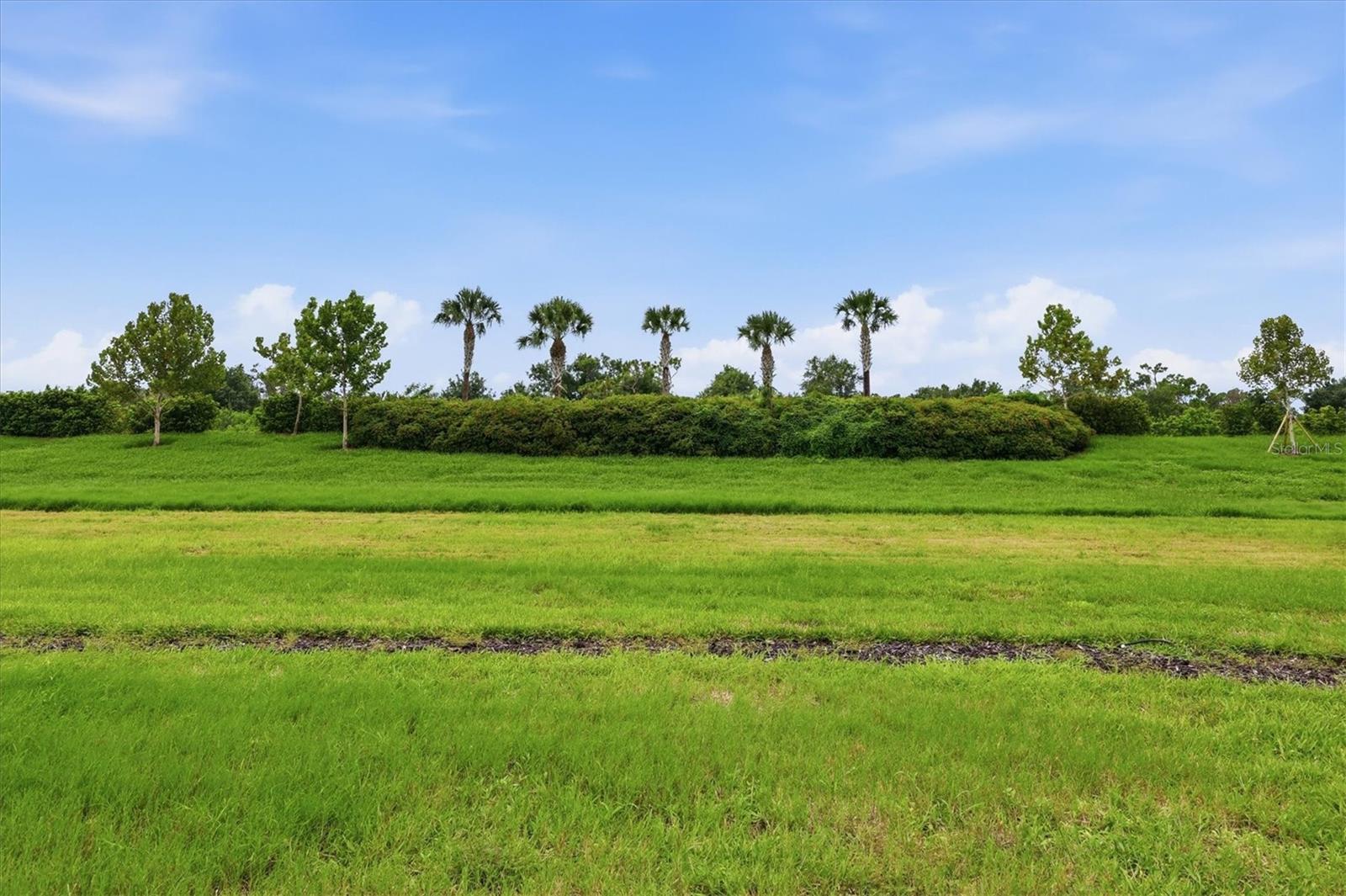 24173 Spartina Dr, Venice, FL 34293 — photo 33 of 46