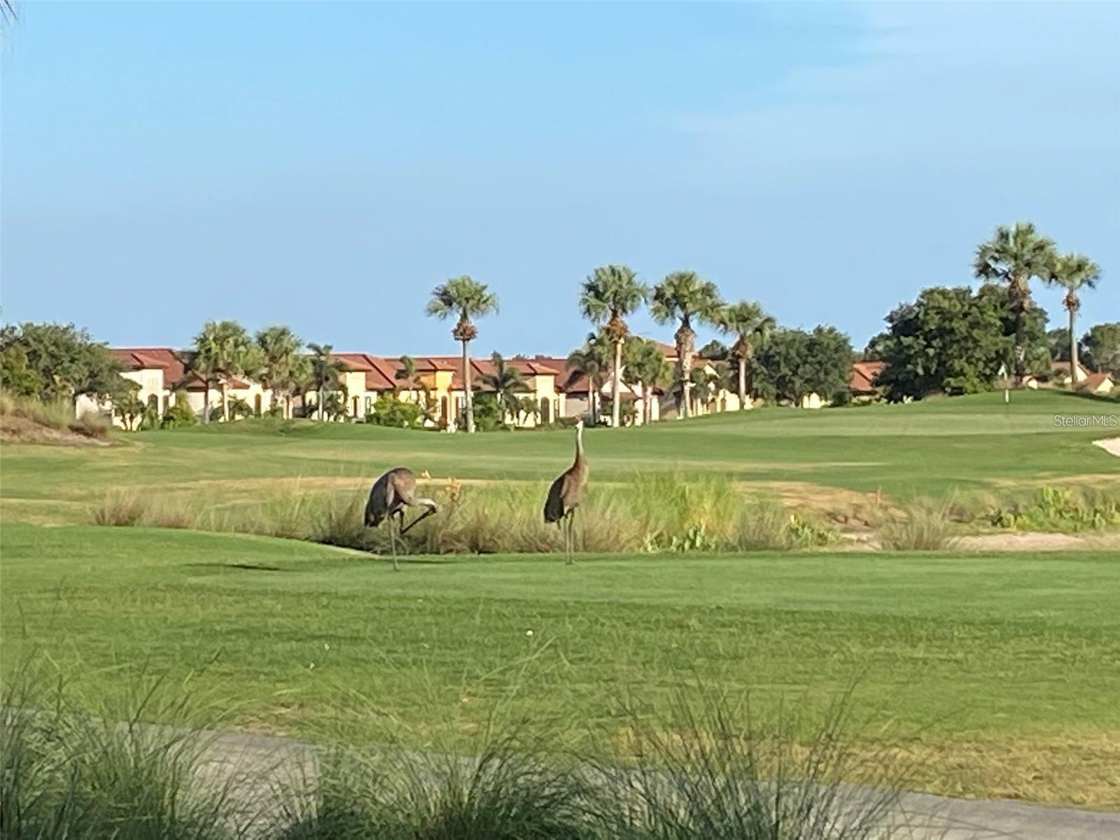 24173 Spartina Dr, Venice, FL 34293 — photo 43 of 46