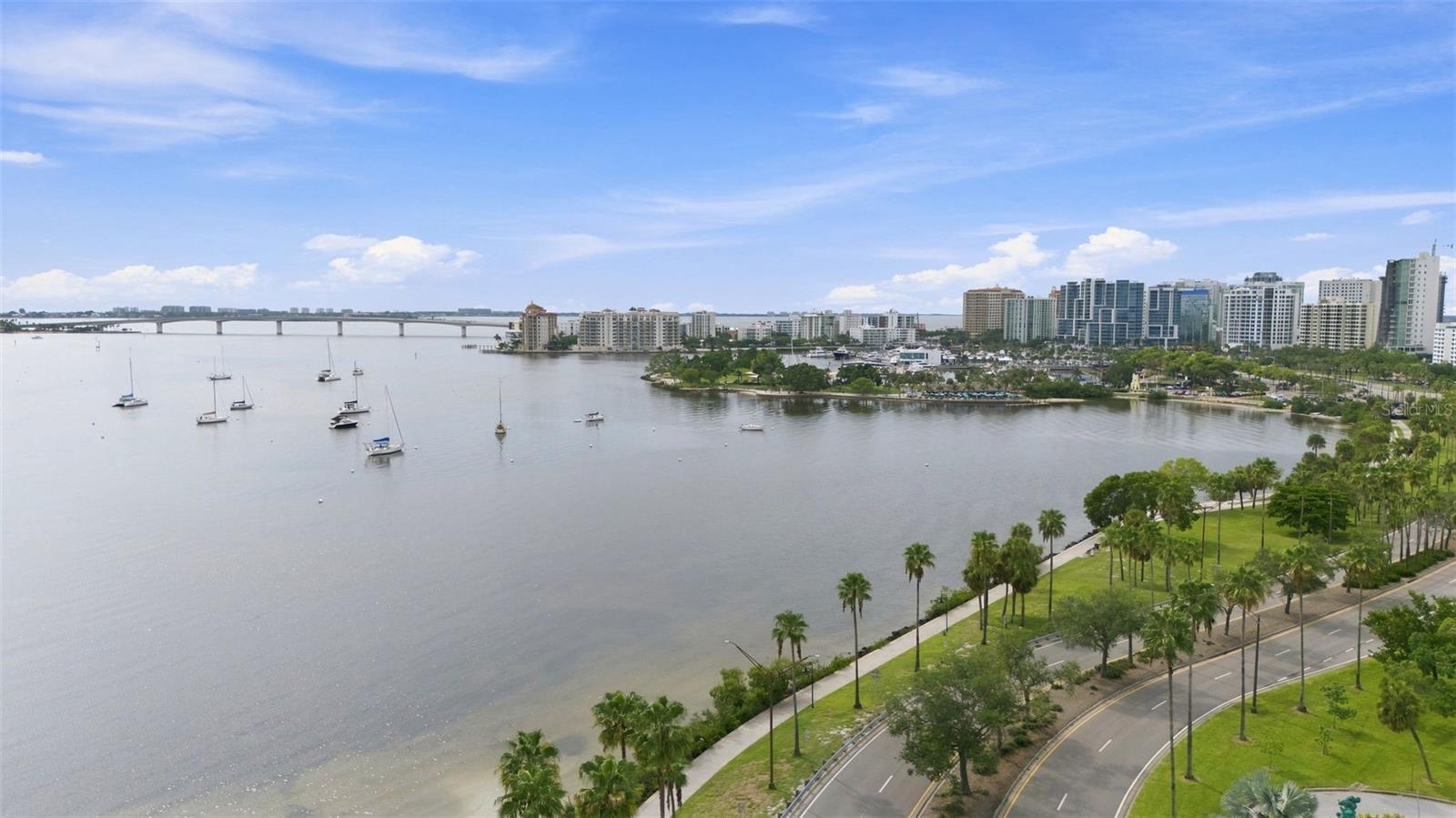 770 S Palm Ave #1804, Sarasota, FL 34236 — photo 50 of 57