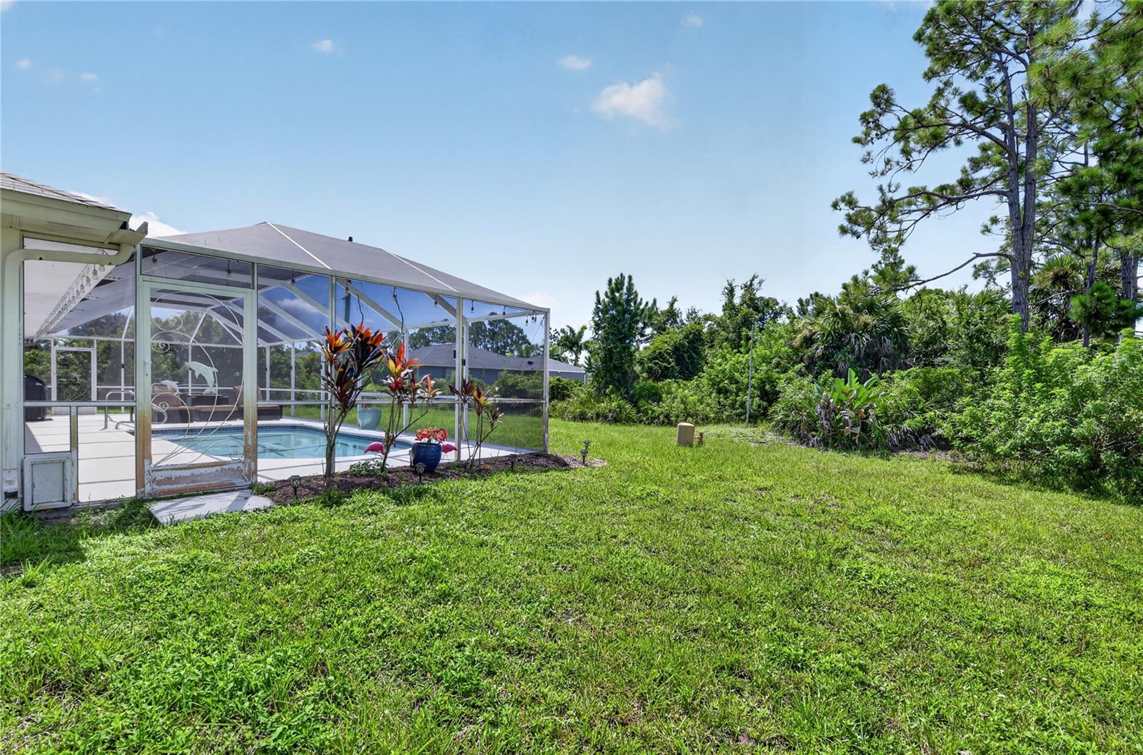 Right side of the property- cage and pool.