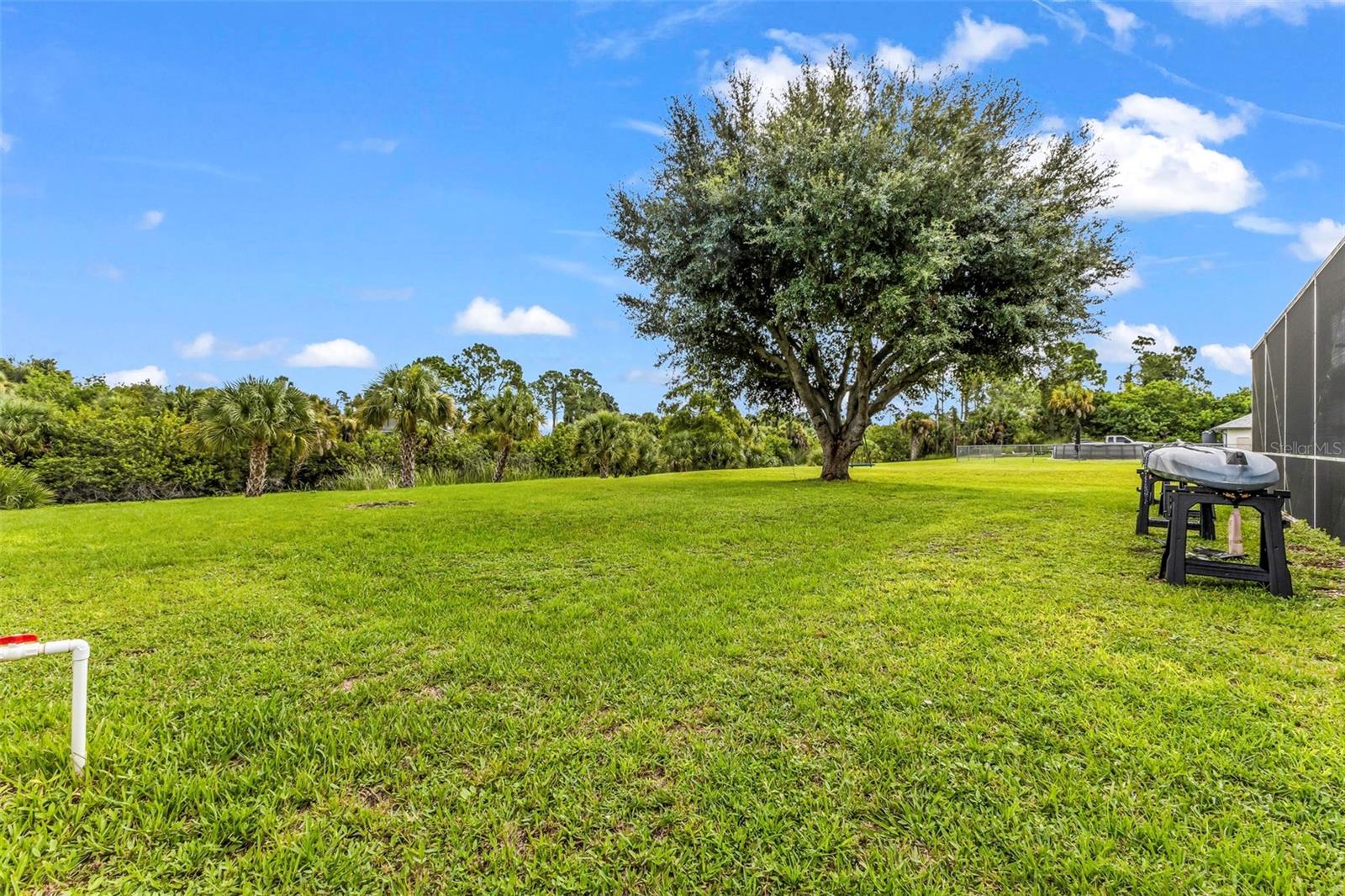 2142 Snover Ave, North Port, FL 34286 — photo 52 of 68