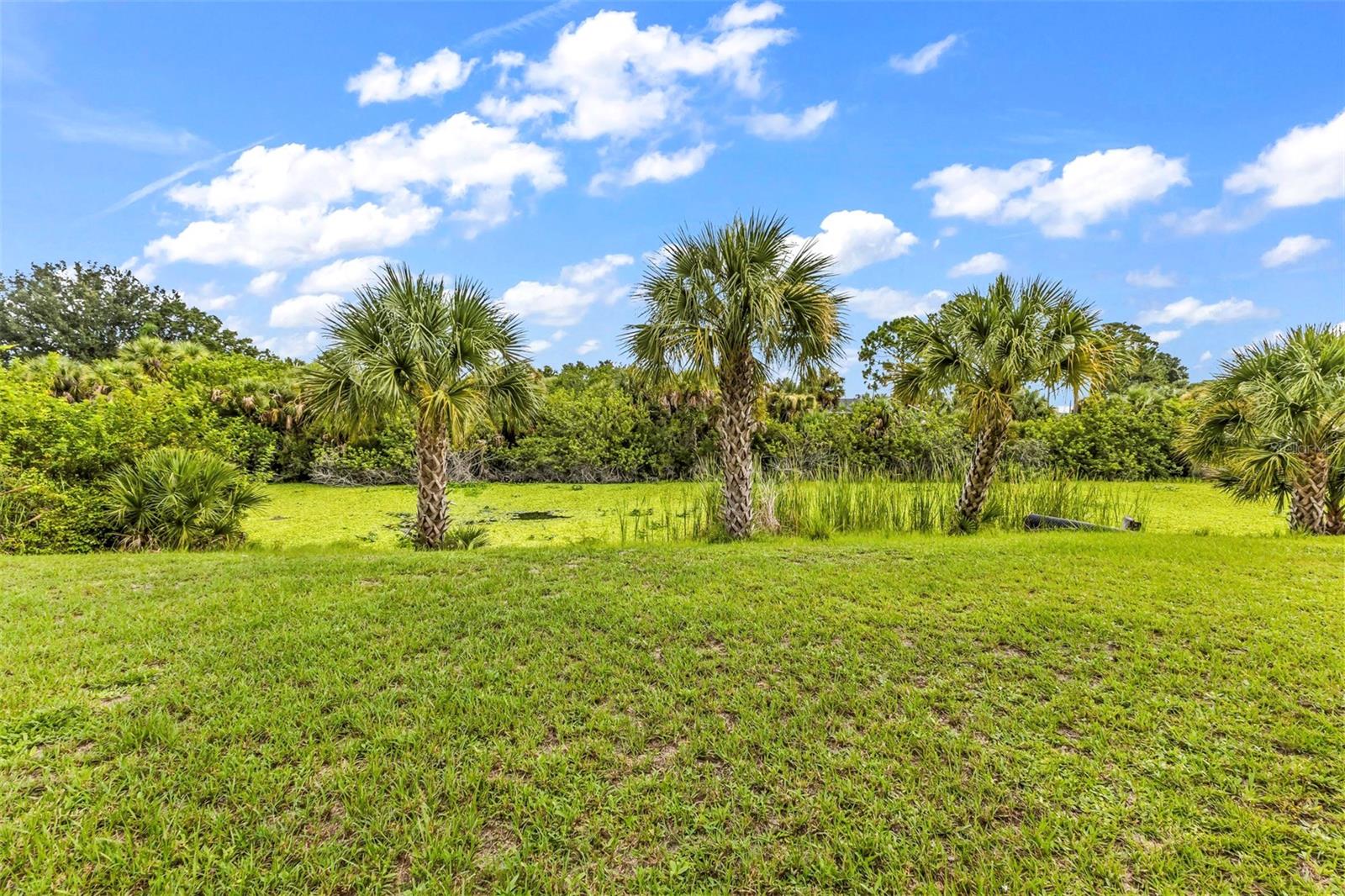 2142 Snover Ave, North Port, FL 34286 — photo 53 of 68
