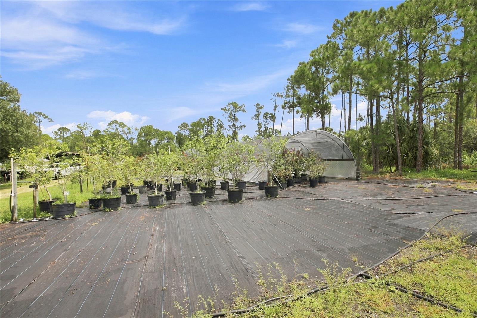 8146 Tropicaire Blvd, North Port, FL 34291 — photo 53 of 56