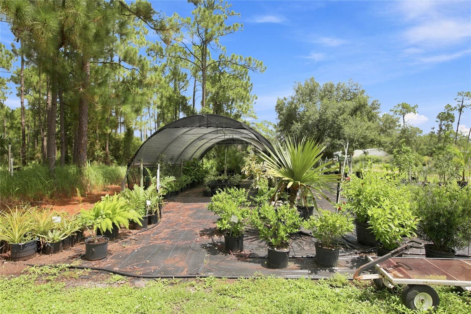 8146 Tropicaire Blvd, North Port, FL 34291 — photo 55 of 56