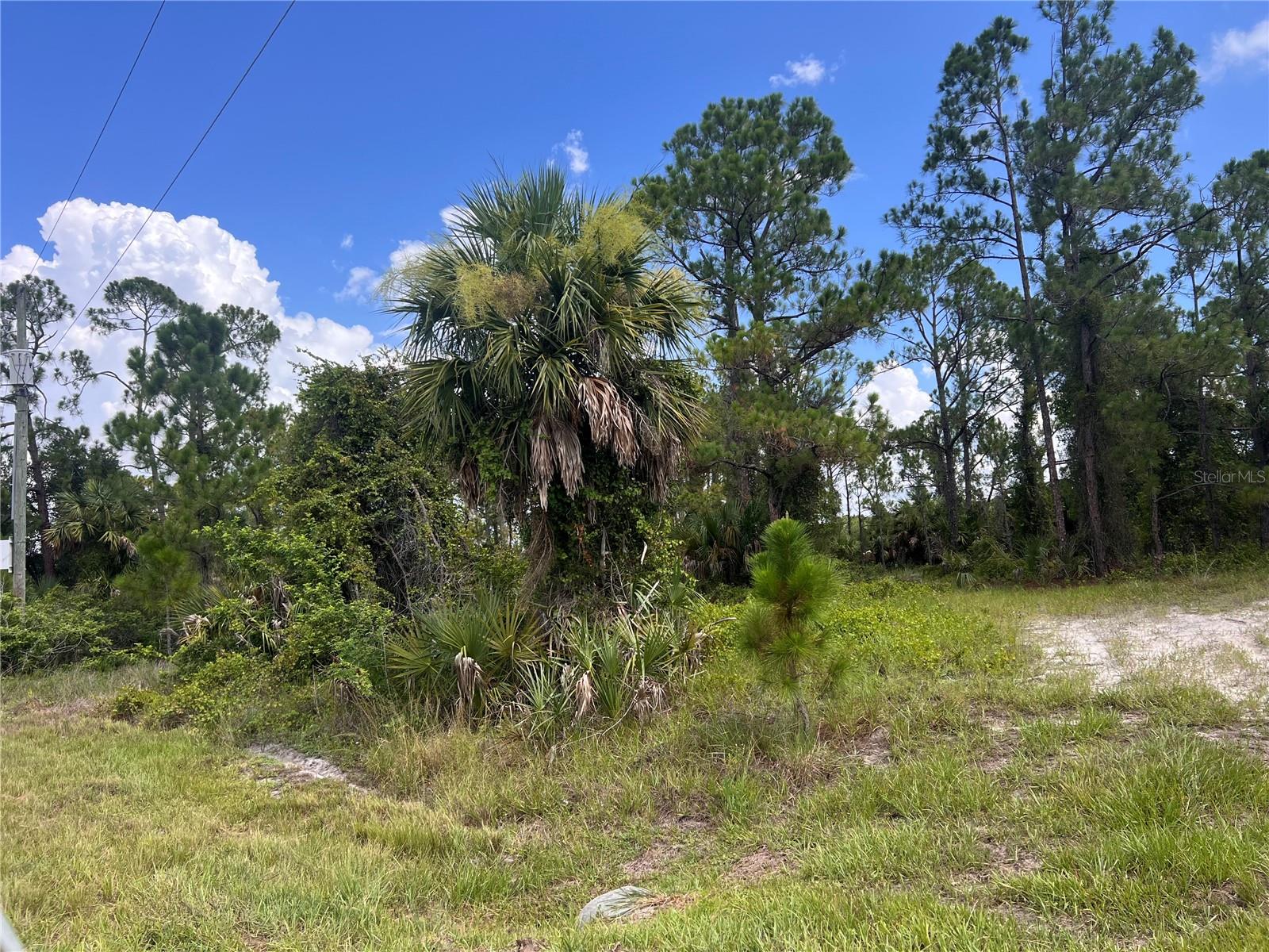 Dalewood Cir, North Port, FL 34288 · MLS# A4702320 — photo 1 of 1